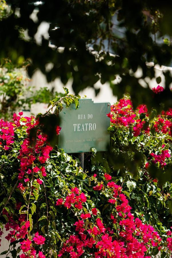 Seaside Elegance And Tranquility: Your Luxurious Porto Getaway Dış mekan fotoğraf